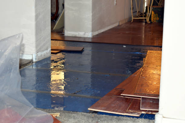 Professional Burst Pipe Cleanup technician working in Woodbine, MD