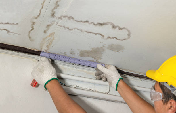 Reliable Burst Pipe Cleanup contractor in Woodbine, MD by Water Damage Irwin